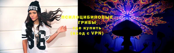 дурь Аркадак