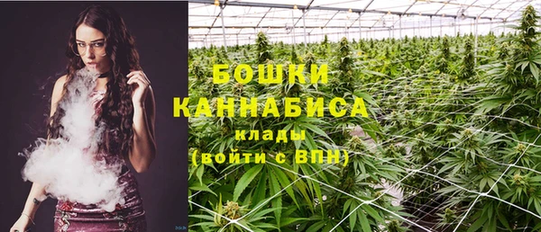 дурь Аркадак