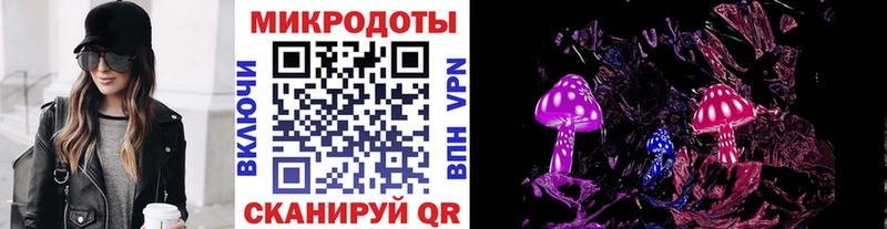 как найти закладки  Почеп  Галлюциногенные грибы Psilocybine cubensis 